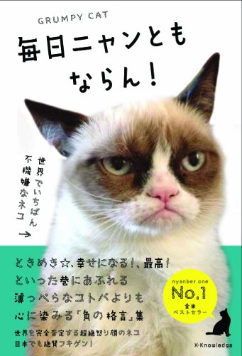 グランピーキャット どんな時でも不機嫌な猫 | ねこちゃんホンポ